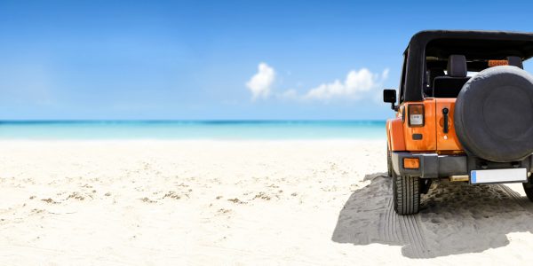 Vehicles for Every Lifestyle