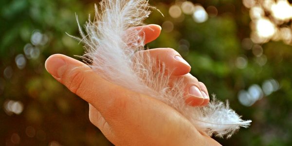 Outstretched hand holding a feather